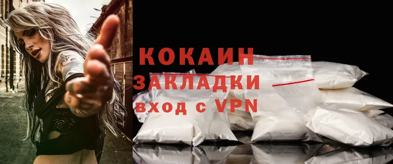 Cocaine FishScale  купить закладку  Кедровый 